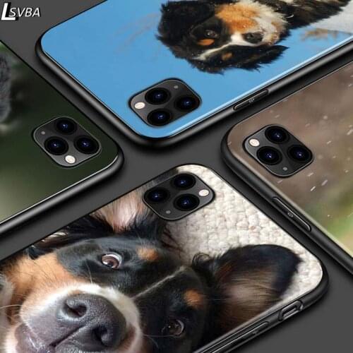 Bernese Mountain Dog For iPhone 12 Pro Max Mini 11 Pro XS Max X XR 6S 6 7 8 Plus 5S Bright Black Phone Case