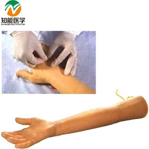 BX-HS13 Advanced Elderly Venipuncture Training Arm Model W153