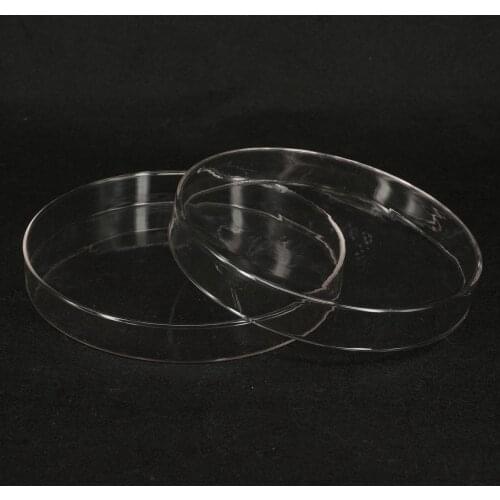 200mm Borosilicate Glass Petri Culture Dish with Lids For Lab Bacterial Yeast