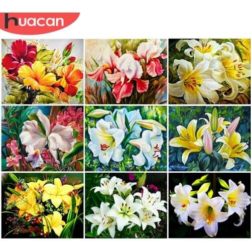 HUACAN DIY Picture By Numbers Lily Unique Gift Wall Art On Canvas HandPainted Paint By Number Flower Decoration
