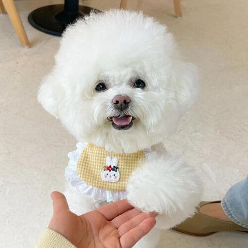 Cute Dog Bandana Scarf Korea Cute Dog Smiling Bib Pet Bunny Saliva Towel Ins Bib Dogs Cats Bibs Pet Grooming Accessories