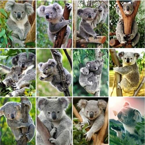 Huacan Full Square/round Diamond Painting Kit Koala Home Decoration Mosaic Animal Tree Scenery Embroidery Diamond Art