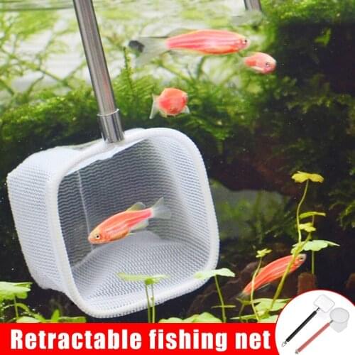 NEW Aquarium Shrimp Net Mini Fish Net Fine Mesh Telescopic Tiny Skimming Quicknet with with Stainless Long Handle