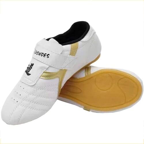 Taekwondo Shoes Martial Arts Karate Kung Fu Gym Fitness Workout Sports Body Building Wushu Tai Chi Adult Soft Sport Shoes