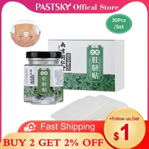 PASTSKY Slimming Patches