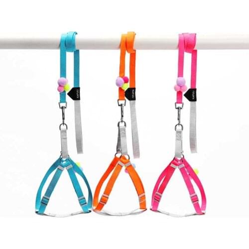 Cheap Fashion Rope Dog Leash Strap For Cat Leash And Harness Solid Katten Kitty Mascotas Products For Gotas Outdoor Accessories