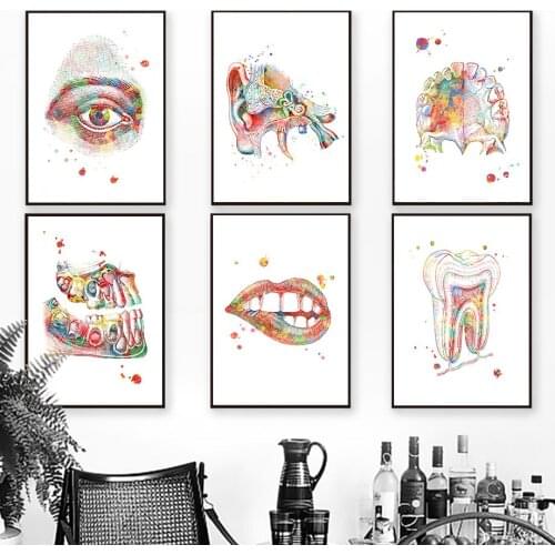 Teeth lips Ear Eye Anatomy Wall Art Canvas Painting Nordic Posters And Prints Wall Pictures For Doctor Office Decor
