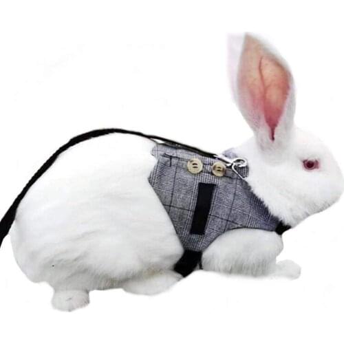 Small Pet Rabbit Harness Adjustable Breathable Rabbit Chest Leash Walking Animal Strap Bunny Gentleman Vest 2021 New Arrivals