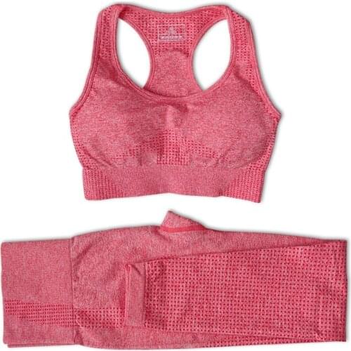 2pcs yoga set for women tracksuit workout gym suit fitness yoga clothing Push-up Sports Bra + seamless leggings sets