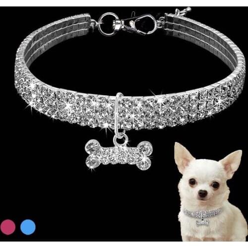 Stainless Steel Jewelry Decoration Dog Collar High Quality Low Weight Cat Necklace Outdoor Walking Pet Tag Supplies Dog Leash