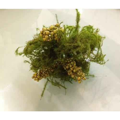 Factory outlets] aquatic nest silk flower factory simulation artificial flowers wedding housewarming opening with flowers