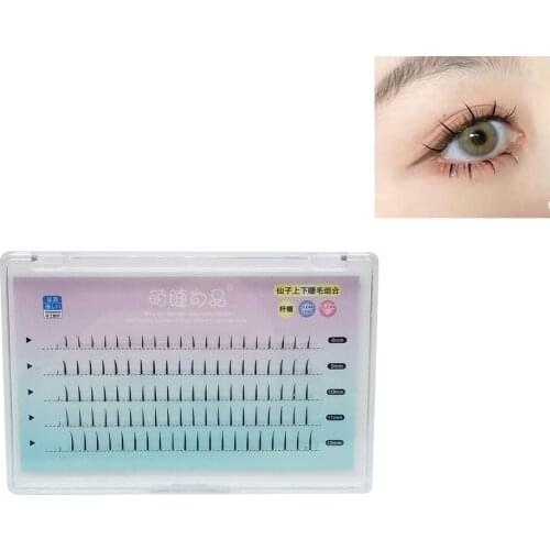 Fairy Hair Grafting Eyelashes Top To Bottom Mixed Fairy Model Segmented Natural And Lifelike Single-cluster Planting Eyelashes