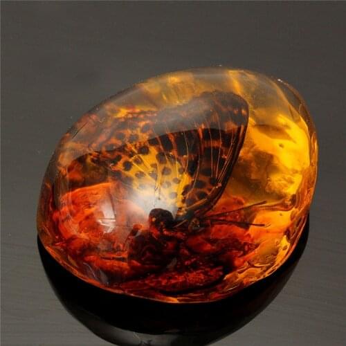 5*4cm Beautiful Amber Butterfly Insects Stone Pendant Necklace Gemstone for DIY Jewellery Pendant Crafts