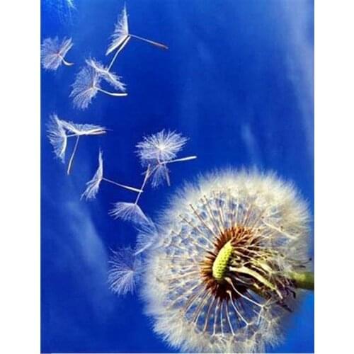 5D Diy Diamond Painting Dandelion Diamond Embroidery Beautiful Butterfly squareround Drill Vertical Print Round Diamond Plant