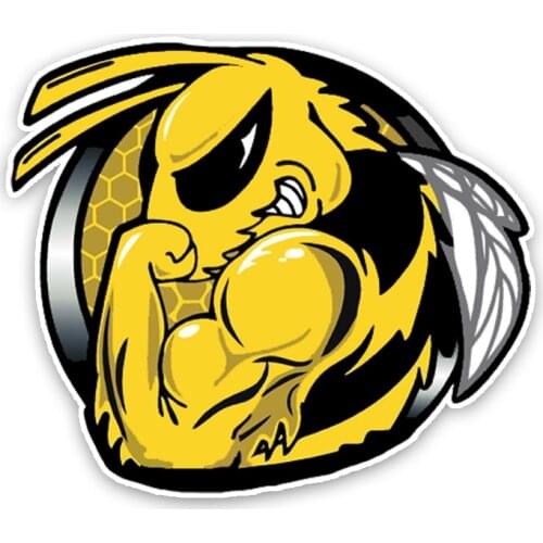 14.4CM12.5CM Fashion Lovely Hornets Colored PVC High Quality Car Sticker Decoration Graphic C1-5178