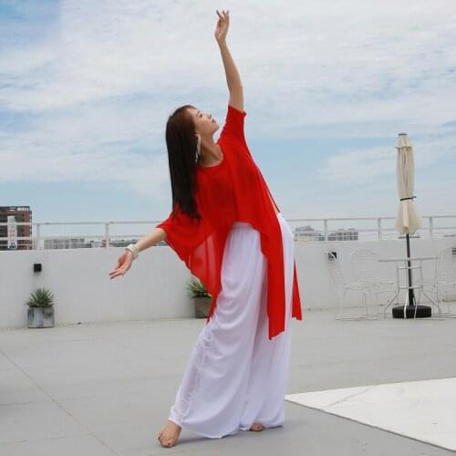 Belly Dance Uniforms Modern Dance Clothing Classical Yoga Dance Sets Tops and Pants Bellydance Exercise Clothing #DP0025