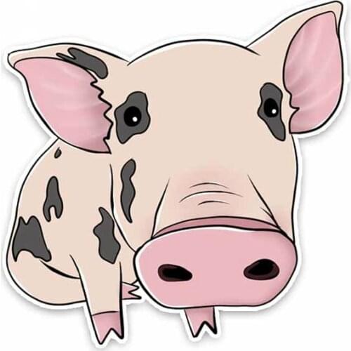 DasDecal Lovely Big Nose Pig Car Sticker Decoration Waterproof Decal Laptop Truck Motorcycle Auto Accessories PVC,14cm*13cm