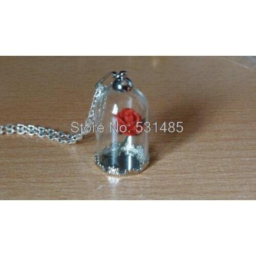 12pcs/lot The Princes Rose. Silver tone Necklace Red Rose Glass Bottle. . Rose Rouge Paper Rose Little. Prince