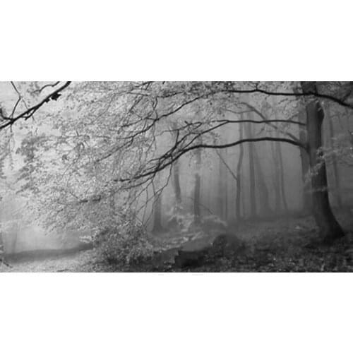 5D Diy Diamond Painting Cross Stitch Kit Full Square Round Black And White Tree Mosaic Embroidery Love Gift Wall StickersZP-4042