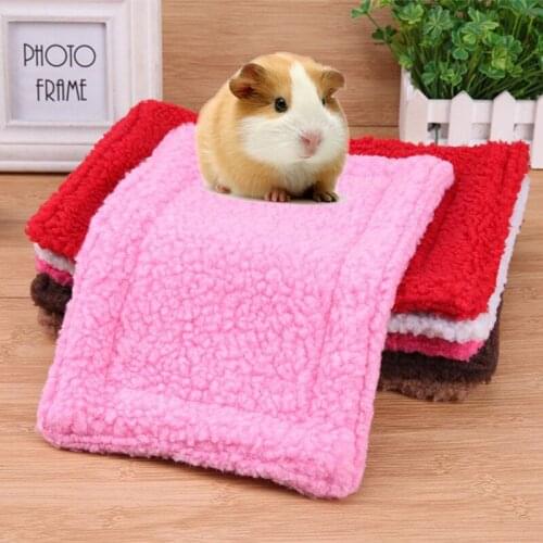 Small Pet Double-sided Coral Fleece Warm Mats Washable Plush Hamster Small Mat Easy to Carry Rectangular Rabbit Bed Mat 30*20cm