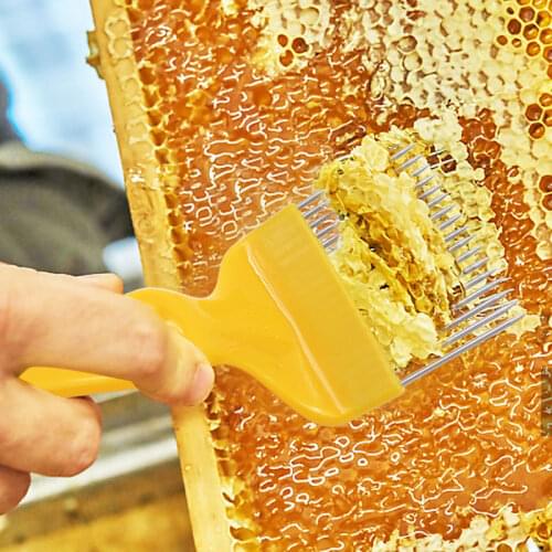 21 Pin Beekeeping Tools Bee honey Forks Straight Needles Uncapping Forks handle Stainless Steel Honey Sparse Rake Shovel Comb 03