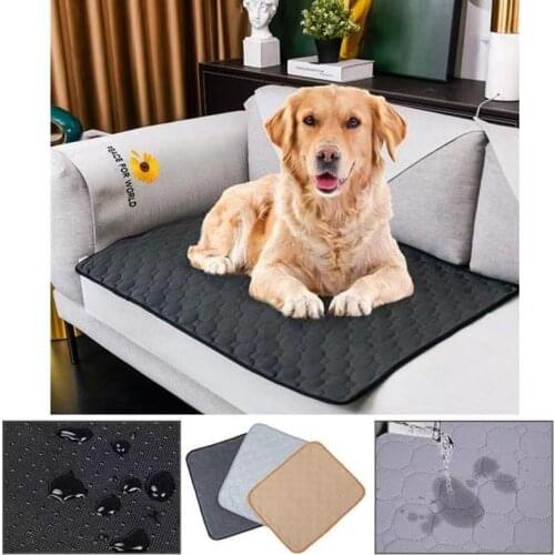 ABQP Houses For Dogs