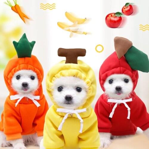 2020 New Warm Dog Winter Clothes Cute Fruit Dog Coat Hoodies Fleece Pet Dog Costume Clothing for Chihuahua York Dogs Ropa Perro