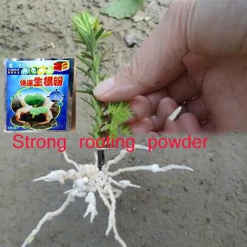 1pc Fast Rooting Powder Practical Extra Fast Root Plant Flower Transplant Fertilizer Plant Growth Improve Survival Garden Decor