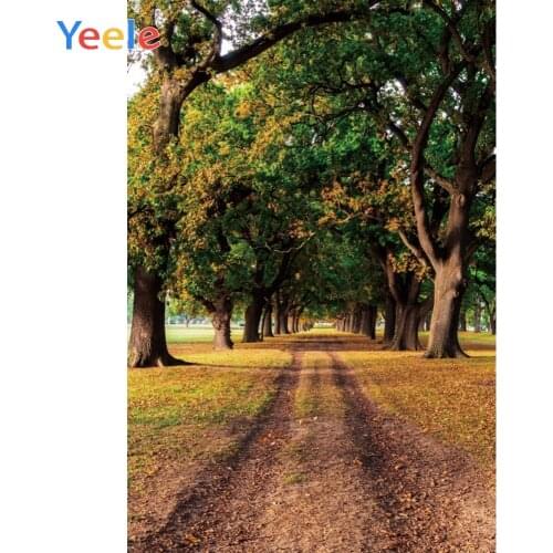 Yeele Landscape Photocall Lawn Tree Park Road Decor Photography Backdrops Personalized Photographic Backgrounds For Photo Studio