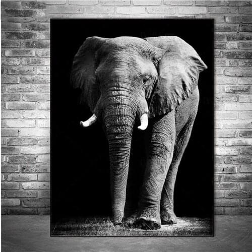 Diamond Painting Hot Selling Home Art African Elephant Black And White 5D Diy Handmade Embroidery Kit Full Square RoundZP-4439