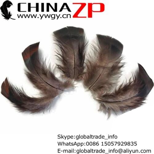 CHINAZP Factory Wholesale 1000pcs/lot Unique Wild Black Bronze Turkey T-Base Plumage Feathers