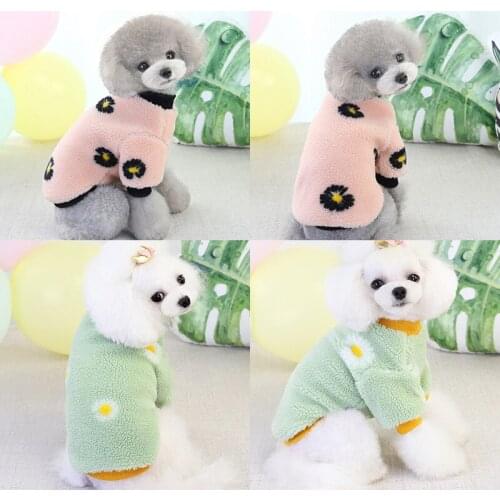 Wholesale New Autumn Winter Dog Clothes For Small Dogs Boy Girl Teddy Fleece Keep Warm Coat Costume Puppy Outfit Pet Clothing