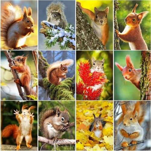 DIY Squirrel Diamond Painting Full Round Drill Embroidery Cross Stitch Kits Bedroom Self-Sticker Photos Home Wall Art Decoration