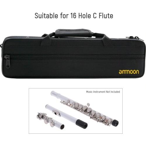 Ammoon 16 Holes CFlute Case Gig Bag Backpack Box Water-resistant 600D Foam Cotton Padding with Adjustable Single Shoulder Strap