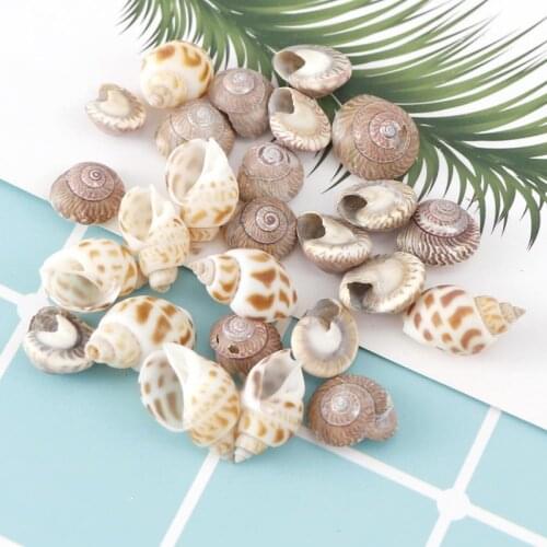 About 100Pcs/Box Natural Conch Shells Mini Conch Corn Screw Wall Decoration DIY