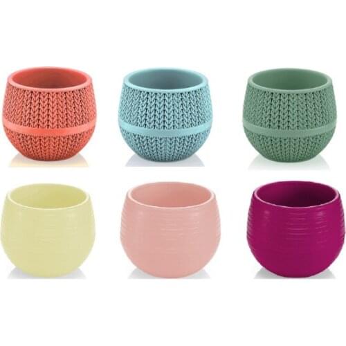 Plant and Cactus Pot 0.13 lt Set of 6