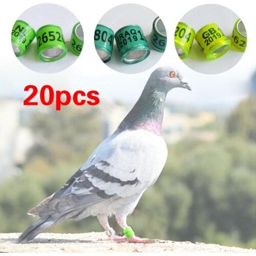 20Pcs Multicolor Pigeon Foot Ring With Word Earrings Quality Durable Bird Foot Ring Bird Tools Accessories Bird Training Tool
