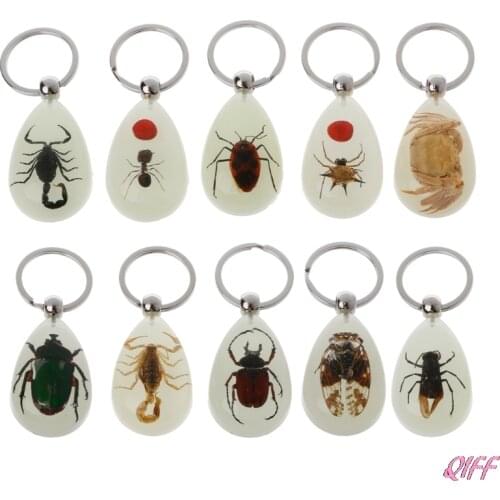 Natural Glow-in-the-Dark Real Insect Keychain Beetle Animal Specimens Collecting