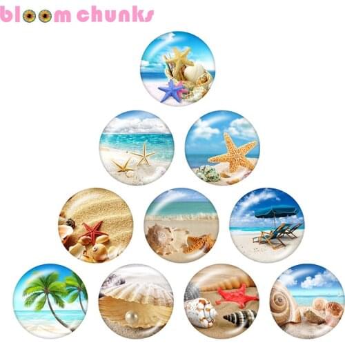 Beach starfish 10pcs mixed 12mm/18mm/20mm/25mm Round photo glass cabochon demo flat back Making findings S1838