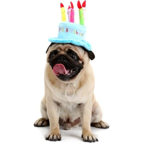 2017 Birthday Accessories Pet Dog Accessories Dog Hat Cake Personality Pet Dog Hat Pet Supply