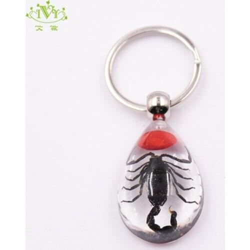 Fashion high quality Innovative design scorpions transparent tear drop resin luminous key ring chain