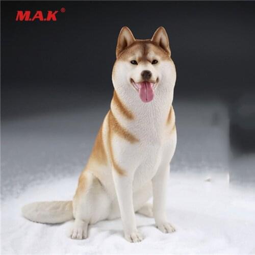 In stock MRZ046 1/6 Mr.Z Siberian Husky 2.0 Animal Model Collectible Static Decoration for collection