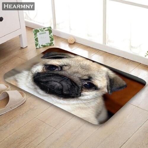 Customizable Pug Doormat Floor/Bath/Kitchen/Beach Mat Flannel Sponge Fabric 3D Printed Shaggy Decoration For Bedroom