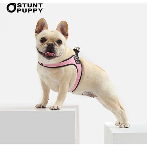 STUNT PUPPY Pet Supplies