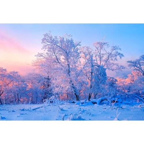 Diy embroidery with diamonds needlework diamond painting mosaic dmc Snow forest cross-stitch home decor handwork gift ZC014