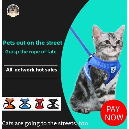 Strap Style Dog Collar for Cats Lead Dog Leash Chien Harness Seresto Pet Accessories Dog Collar for Cat Harness Cats Pet Seresto