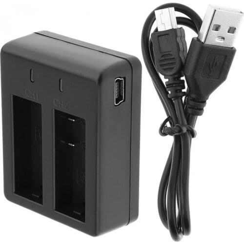 New 2 Channels 100V-240V Charger with USB Cable for SJ4000 / SJ4000 Plus / SJ5000 WiFi / SJ5000 Plus / M10 Camera Battery