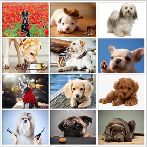 5d Diy Full Drill Diamond Painting Dog Pitbull Poodle Diamond Mosaic Animal Dachshund Embroidery Cross Stitch Kits Home Decor