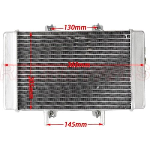 RADIATOR And FAN ELECTROMOTOR ASSY for Buyang Feishen 300CC linhai300 ATV Quad