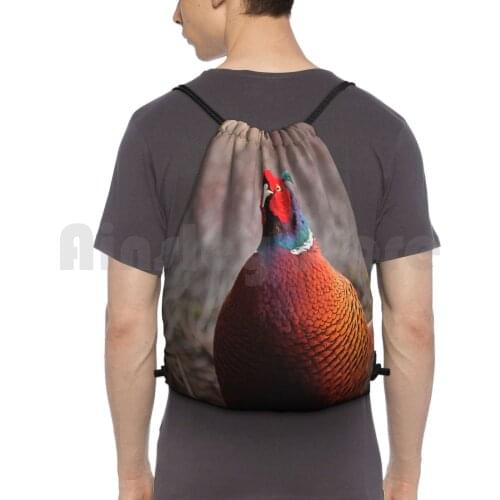 A Very Pleasant Pheasant Backpack Drawstring Bag Riding Climbing Gym Bag Pheasant Bird British Wildlife Game Bird Feathers